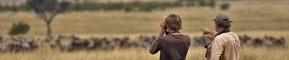 Game Viewing during Migration Season